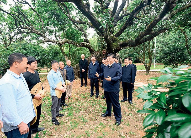 2023年4月10日至13日，中共中央總書記、國(guó)家主席、中央軍委主席習(xí)近平在廣東考察。這是11日下午，習(xí)近平在茂名高州市根子鎮(zhèn)柏橋村荔枝種植園，同現(xiàn)場(chǎng)技術(shù)人員親切交流。